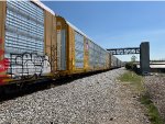 TTGX 823202